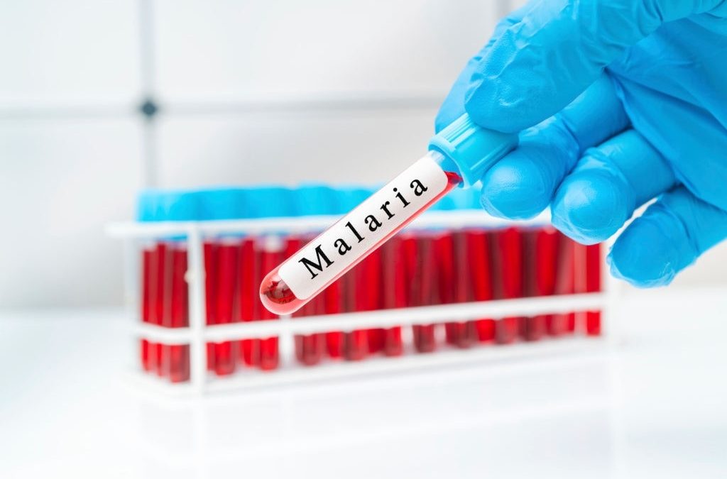 Penyebab, Gejala, dan Pengobatan Malaria